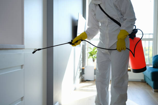 Best Certified Mold Removal  in Frontenac, MO