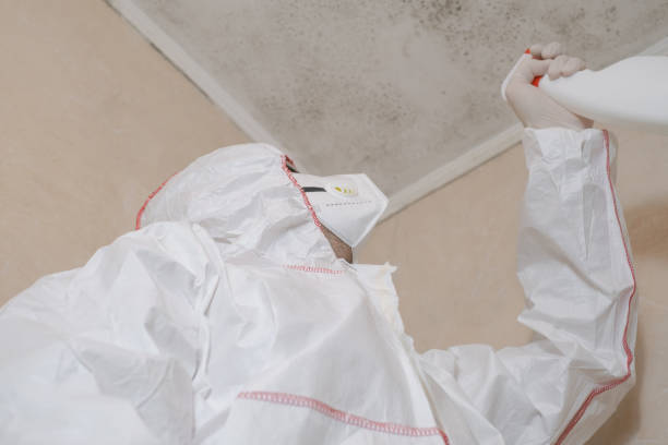 Best Professional Mold Removal  in Frontenac, MO